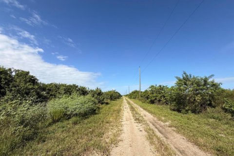 Commercial property in Okeechobee, Florida № 2399988 - photo 2