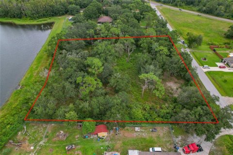 Land in Wesley Chapel, Florida № 1913851 - photo 6
