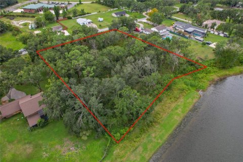 Land in Wesley Chapel, Florida № 1913851 - photo 9