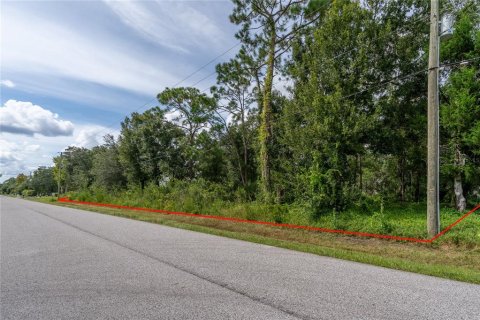 Land in Wesley Chapel, Florida № 1913851 - photo 1
