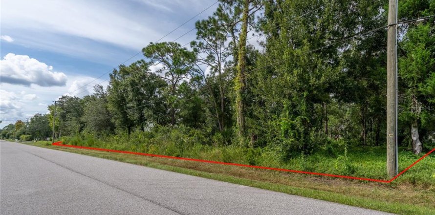 Land in Wesley Chapel, Florida № 1913851
