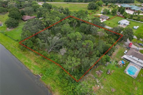 Land in Wesley Chapel, Florida № 1913851 - photo 7