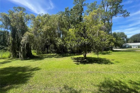 Terreno en venta en Osteen, Florida № 1883226 - foto 3