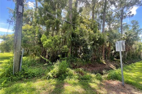 Terreno en venta en Osteen, Florida № 1883226 - foto 8