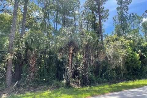Terreno en venta en Osteen, Florida № 1883226 - foto 11