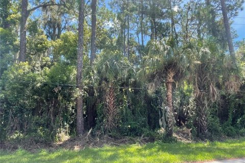 Terreno en venta en Osteen, Florida № 1883226 - foto 10