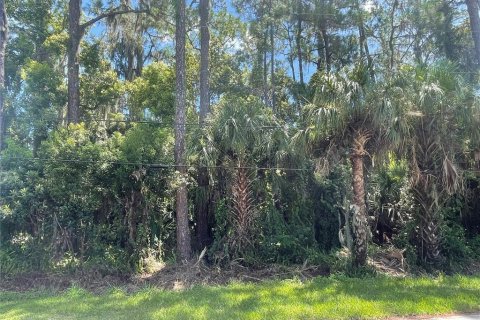 Terreno en venta en Osteen, Florida № 1883226 - foto 9