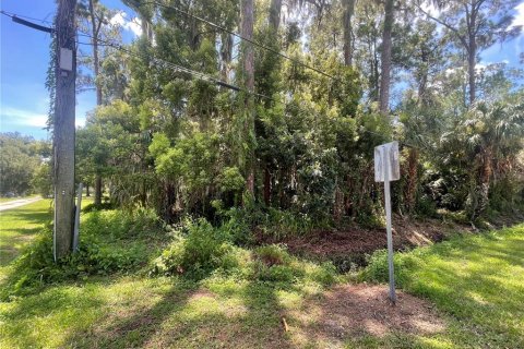 Terreno en venta en Osteen, Florida № 1883226 - foto 7