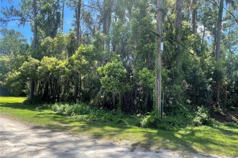 Terreno en venta en Osteen, Florida № 1883226 - foto 6