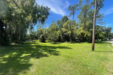 Terreno en venta en Osteen, Florida № 1883226 - foto 1