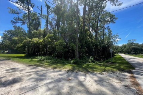 Terreno en venta en Osteen, Florida № 1883226 - foto 5