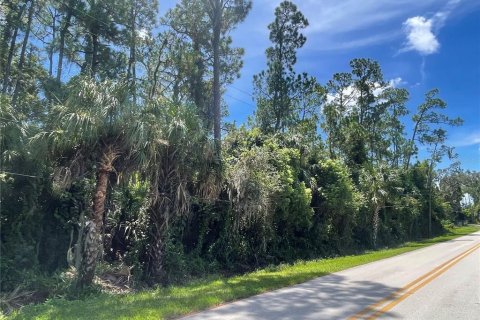 Terreno en venta en Osteen, Florida № 1883226 - foto 12