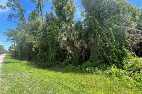 Terreno en venta en Osteen, Florida № 1883226 - foto 13