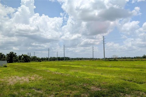 Land in Bowling Green, Florida № 1778510 - photo 15