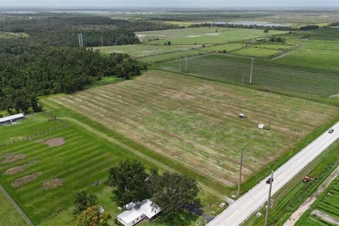 Land in Bowling Green, Florida № 1778510 - photo 5
