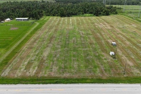 Land in Bowling Green, Florida № 1778510 - photo 7