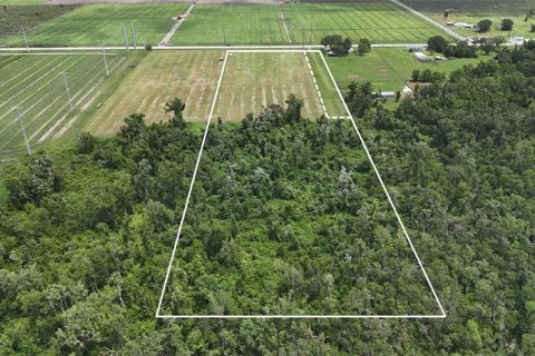Land in Bowling Green, Florida № 1778510 - photo 9
