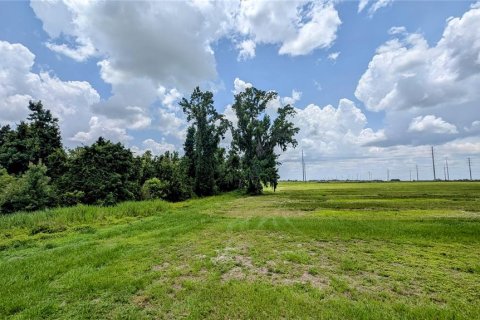 Land in Bowling Green, Florida № 1778510 - photo 17