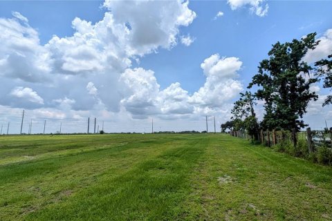 Land in Bowling Green, Florida № 1778510 - photo 13