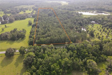 Terreno en venta en Micanopy, Florida № 646419 - foto 8