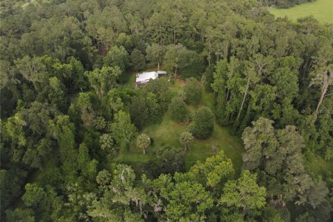 Terreno en venta en Micanopy, Florida № 646419 - foto 15