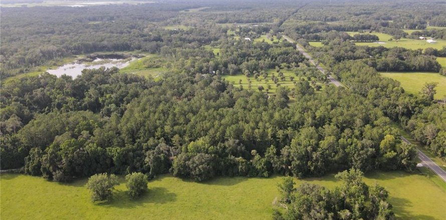Terreno en Micanopy, Florida № 646419