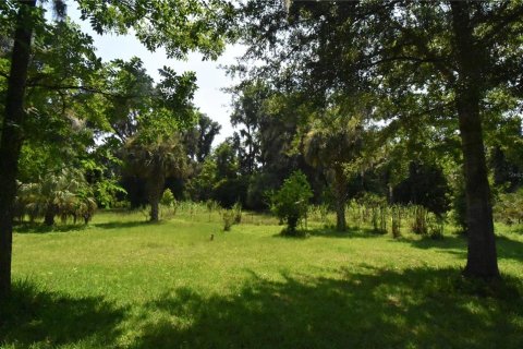 Terreno en venta en Micanopy, Florida № 646419 - foto 26