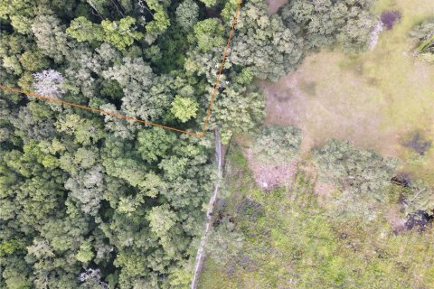 Terreno en venta en Micanopy, Florida № 646419 - foto 19