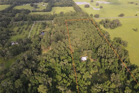 Terreno en venta en Micanopy, Florida № 646419 - foto 2