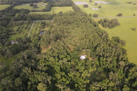 Terreno en venta en Micanopy, Florida № 646419 - foto 11
