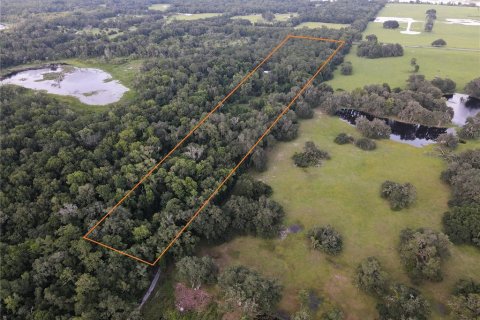 Terreno en venta en Micanopy, Florida № 646419 - foto 4