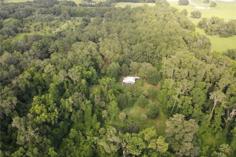 Terreno en venta en Micanopy, Florida № 646419 - foto 13