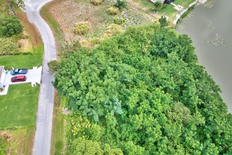 Land in Sebring, Florida № 1759681 - photo 3