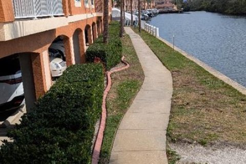 Condominio en venta en Tampa, Florida, 1 dormitorio, 60.76 m2 № 1539863 - foto 5