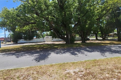 Land in Zephyrhills, Florida № 2116784
