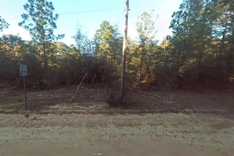 Terreno en venta en Fountain, Florida № 2167875 - foto 7