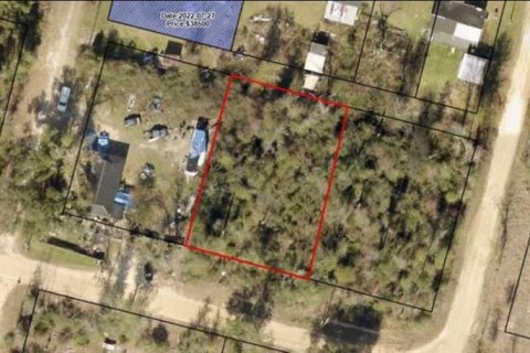 Terreno en venta en Fountain, Florida № 2167875 - foto 2