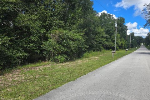Land in Inverness, Florida № 2386218