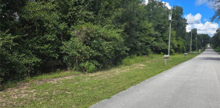 Land in Inverness, Florida № 2386218
