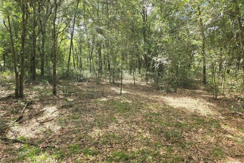 Land in Inverness, Florida № 2386218 - photo 4