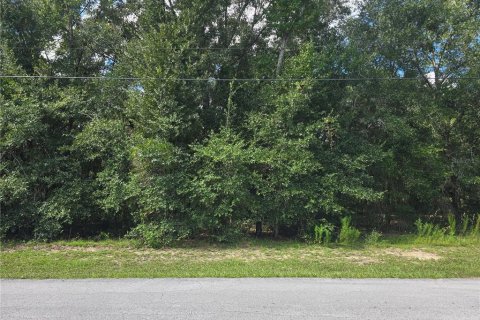 Land in Inverness, Florida № 2386218 - photo 2