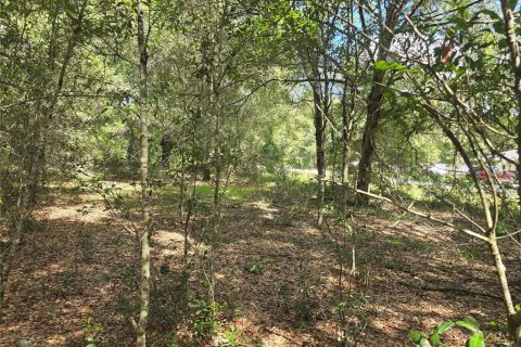 Land in Inverness, Florida № 2386218 - photo 8