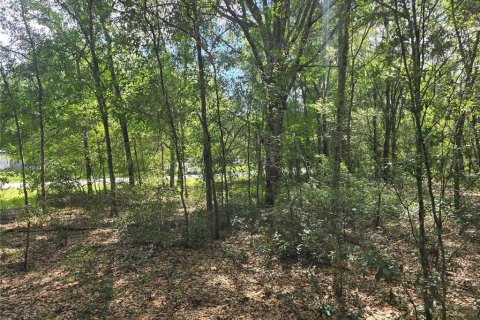 Land in Inverness, Florida № 2386218 - photo 6