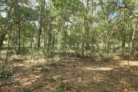 Land in Inverness, Florida № 2386218 - photo 7