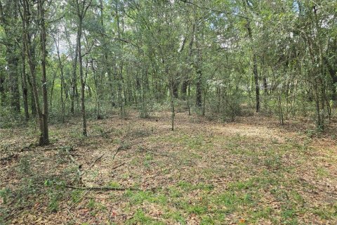 Land in Inverness, Florida № 2386218 - photo 11