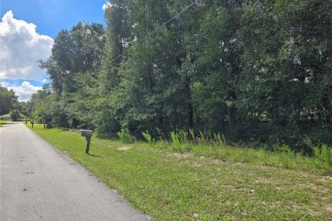 Land in Inverness, Florida № 2386218 - photo 3