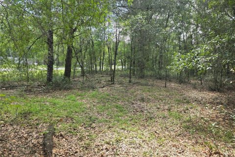 Land in Inverness, Florida № 2386218 - photo 9