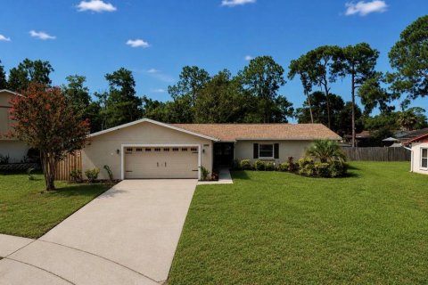 House in Valrico, Florida 3 bedrooms, 157.93 sq.m. № 2196518