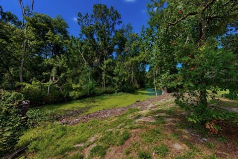 House in Valrico, Florida 3 bedrooms, 157.93 sq.m. № 2196518 - photo 29