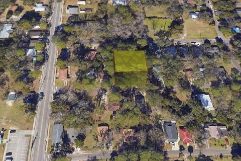 Land in Gainesville, Florida № 1657055 - photo 6